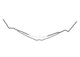   Anthidium quetzalcoatli  female, diagram showing the dorsal view of the sixth tergite (T6), diagram from Gonzalez and Griswold 2013 
